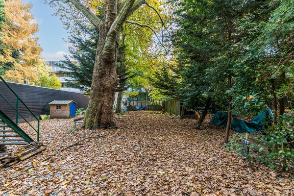 Medium property photo - Mauritsweg 51A, 3012 JW Rotterdam